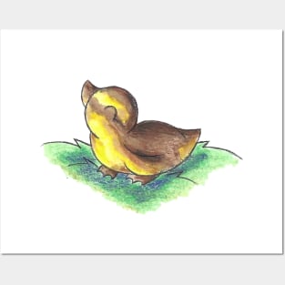 Mallard Duckling Posters and Art